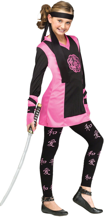 Dragon Ninja Girl Costume