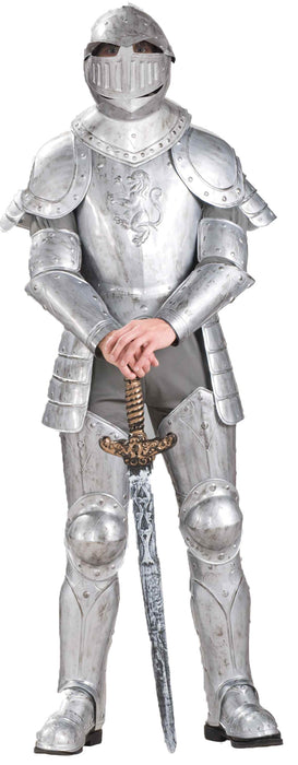 Knight In Shining Armour Costume