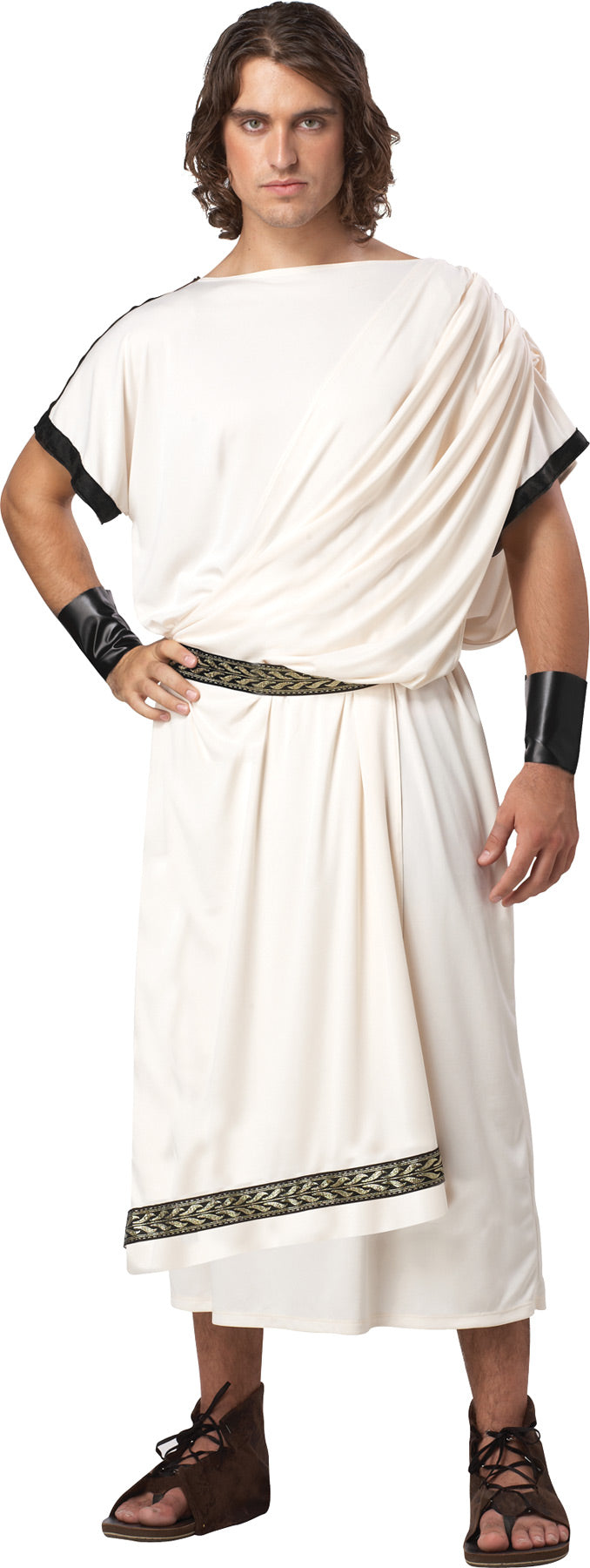 Grecian Toga Party Outfit - One Size Fits Most - image 1