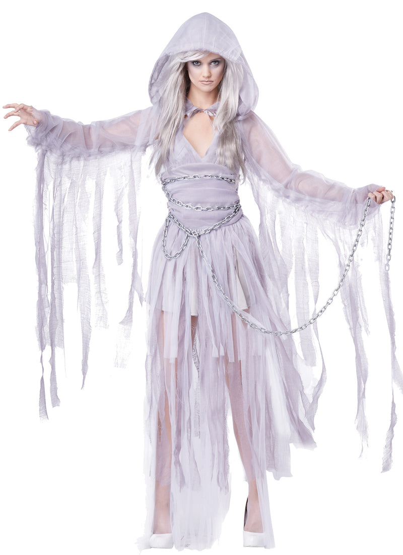 Haunting Beauty Costume - XLARGE - image 1