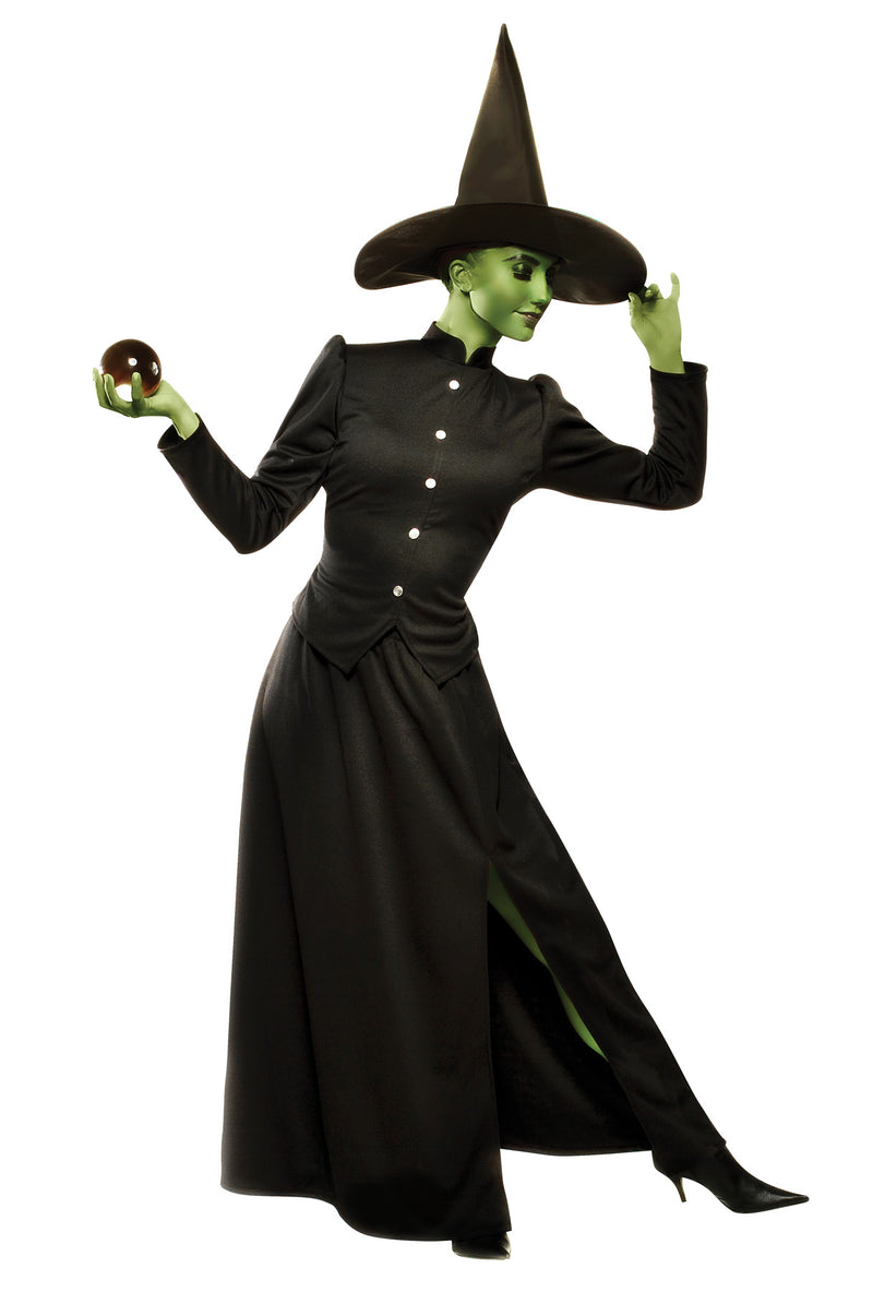 funny Classic Witch | Costume-Shop.com