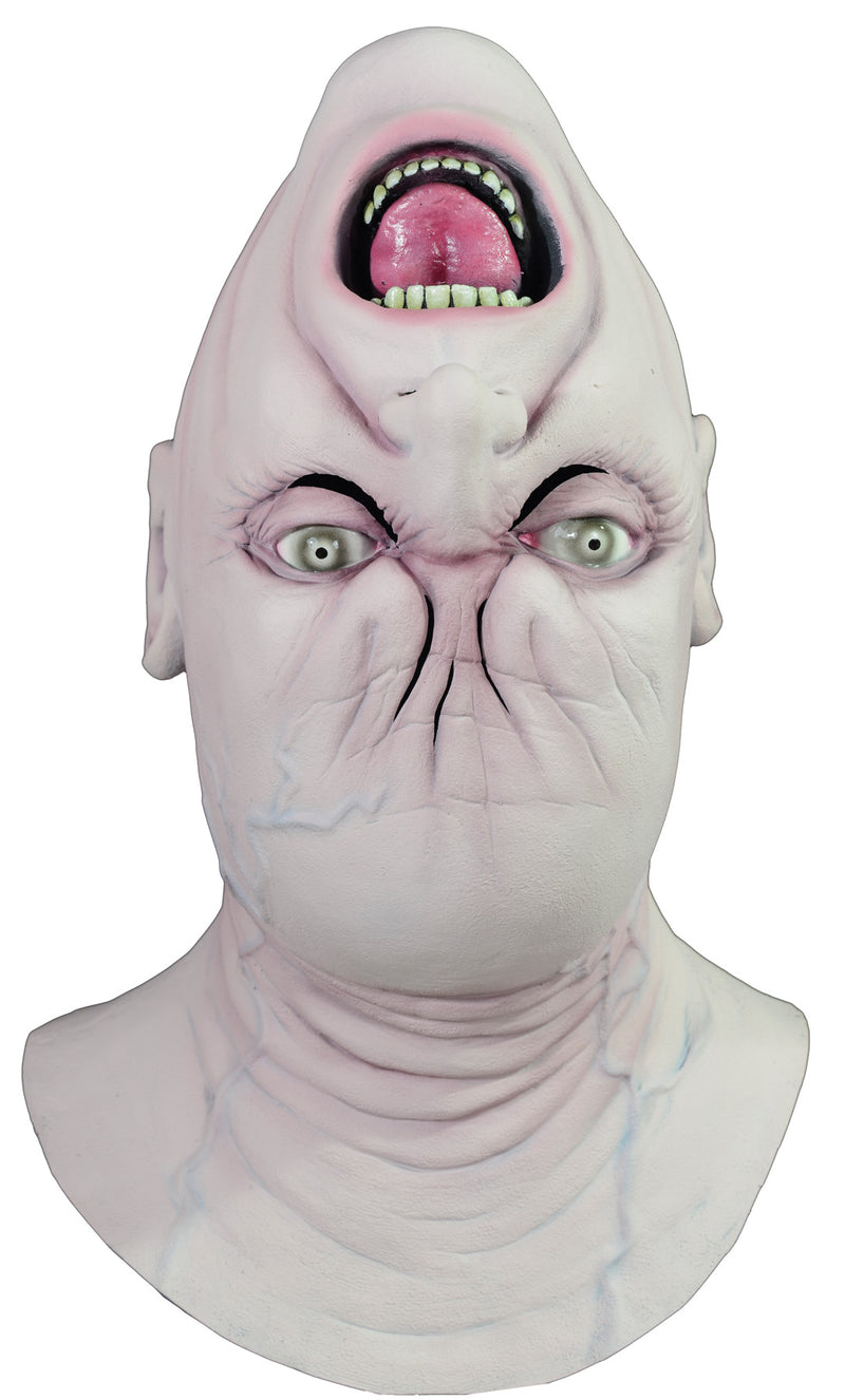 Upside Down Mask - One Size Fits Most - image 1