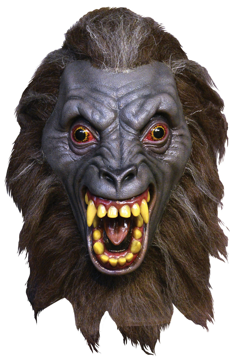 Werewolf Demon Mask | Costume-Shop.com - One Size Fits Most - image 1