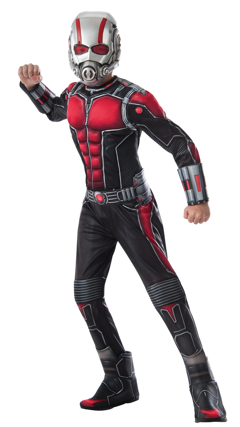 Ant Man Costume - Large - image 1
