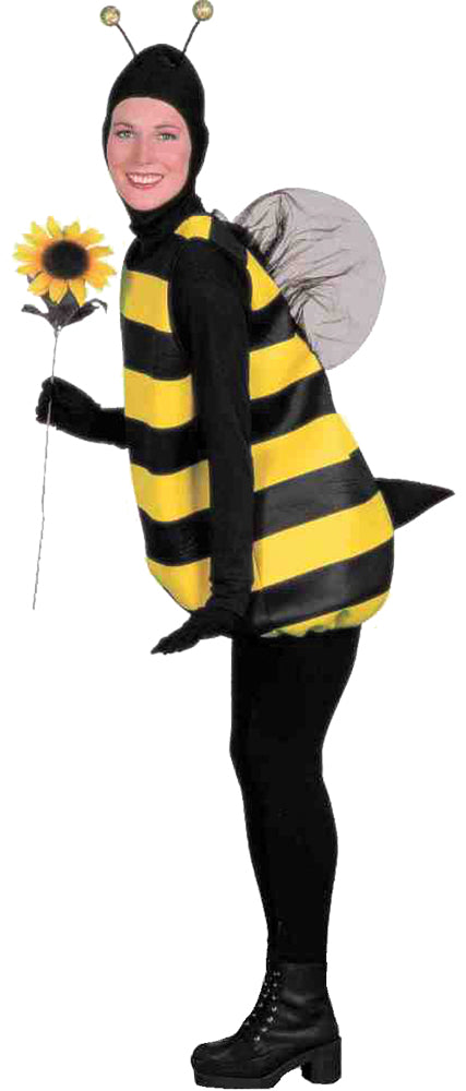 Bumble Bee Costume - One Size Fits Most - image 1