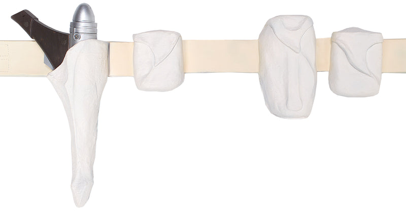 Amidala Holster And Blaster - image 1