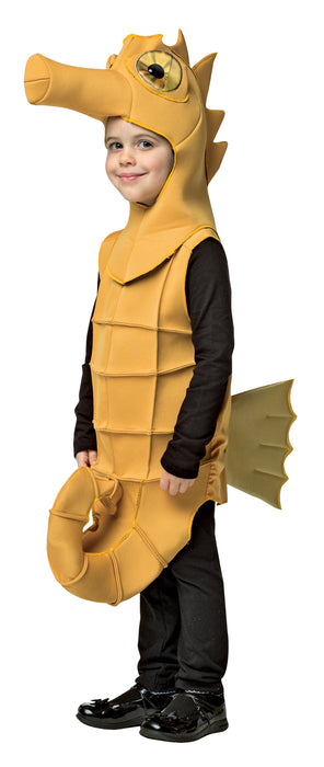 Seahorse Costume