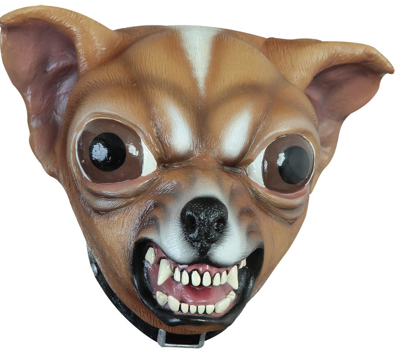 Chihuahua Mask - One Size Fits Most - image 1