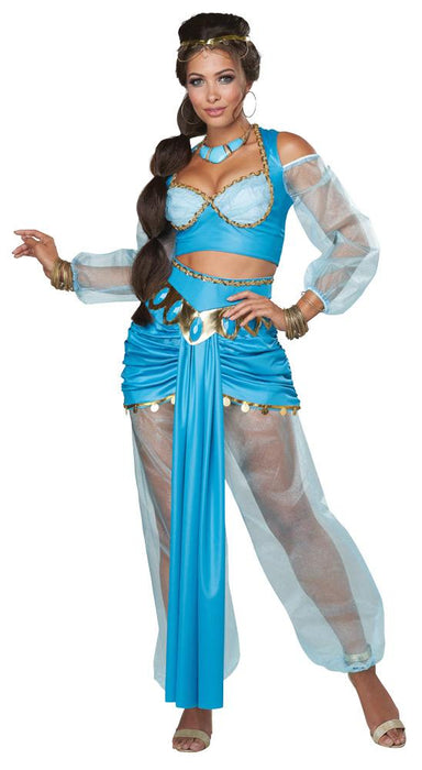 Enchanting Arabian Princess Costume