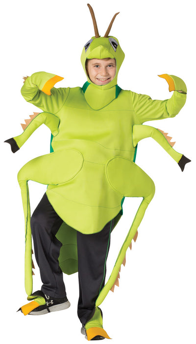 Jolly Jumper Grasshopper Costume