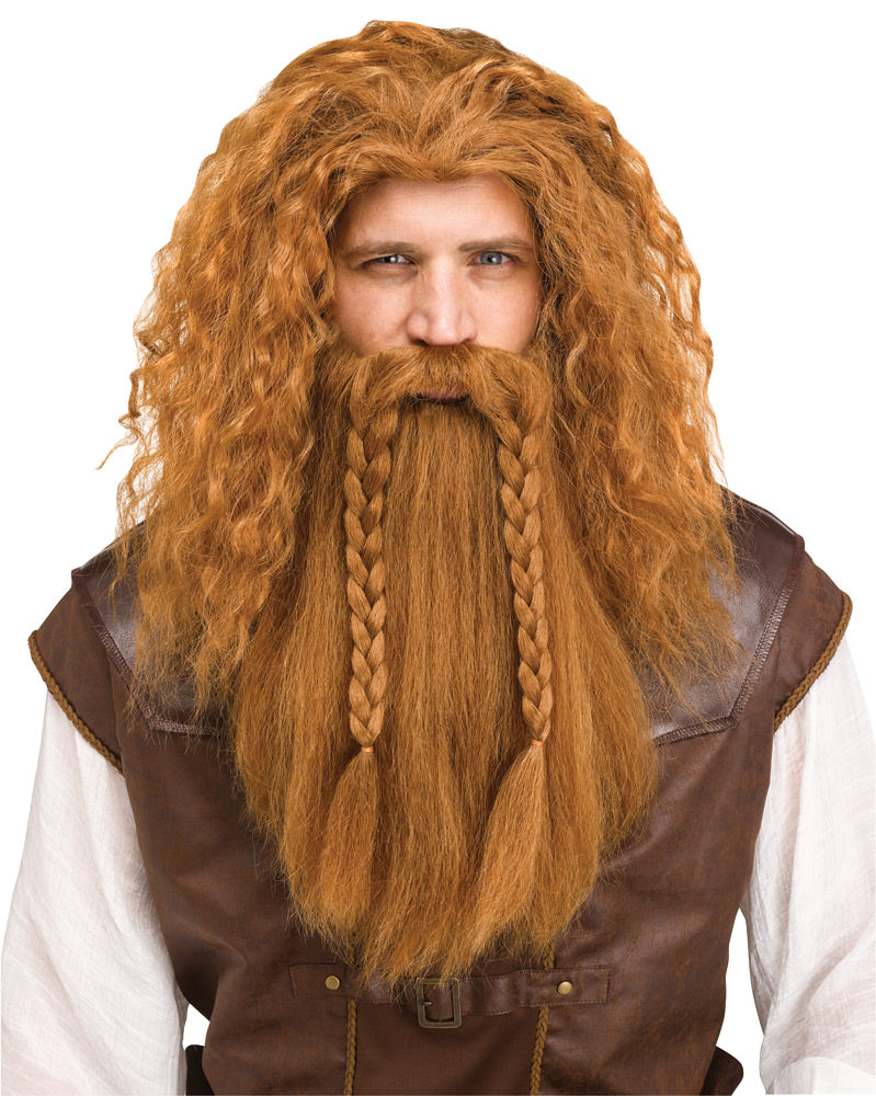 Viking Wig & Beard - One Size Fits Most - image 1