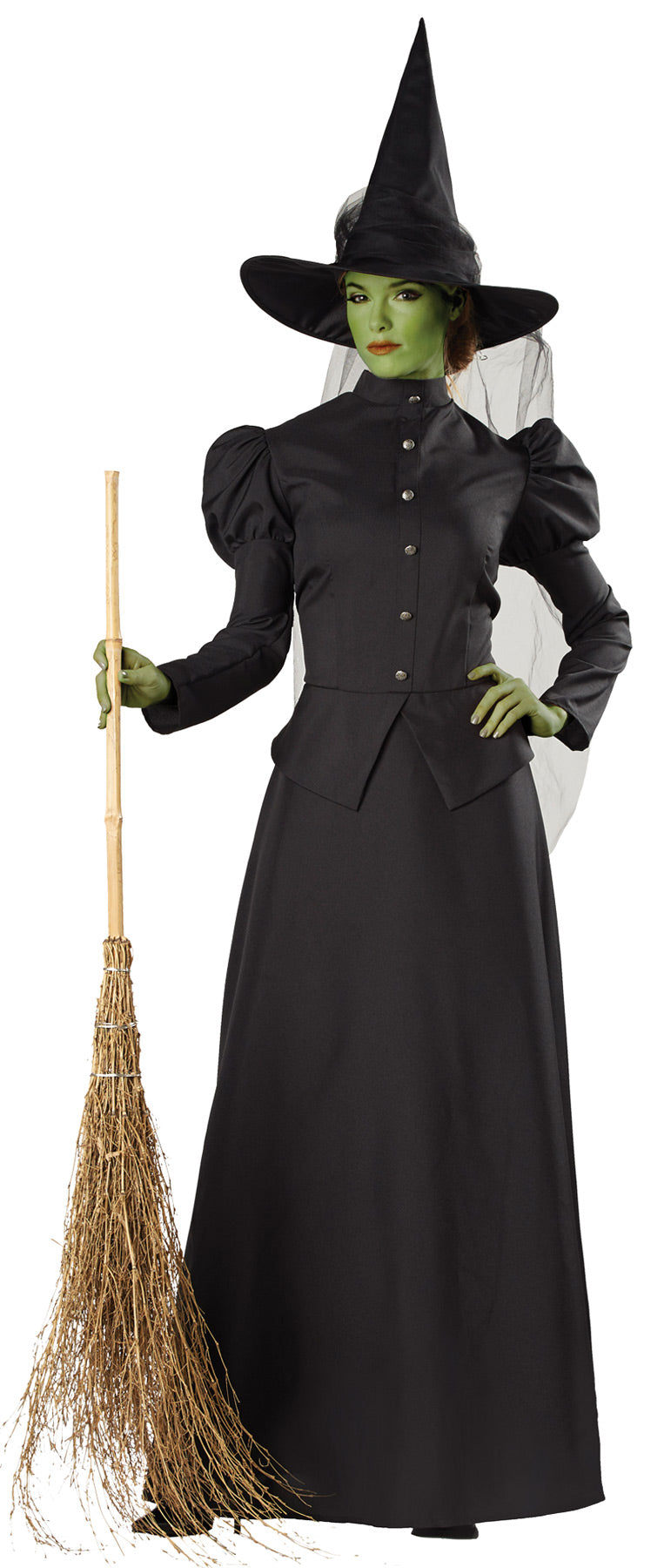 Classic Deluxe Witch Costume - Extra Large - image 1