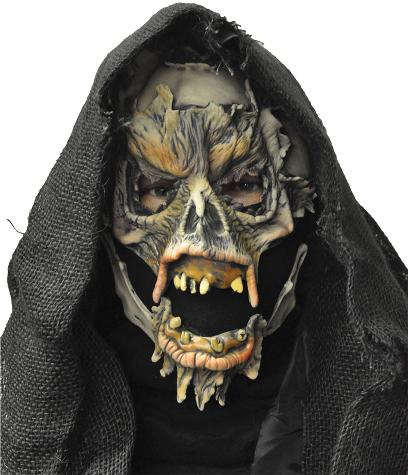 Decayed Mask | Costume-shop.com