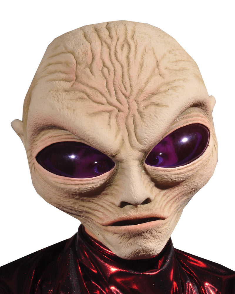 Classic Grey Alien Visor - image 1