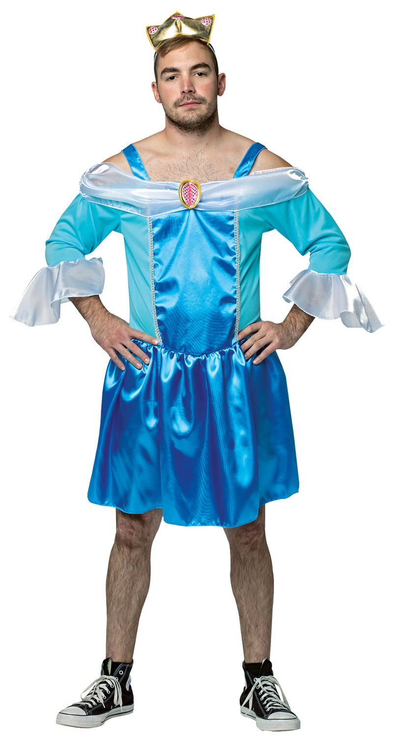 Cinderfella Costume - Adult OSFM - image 1