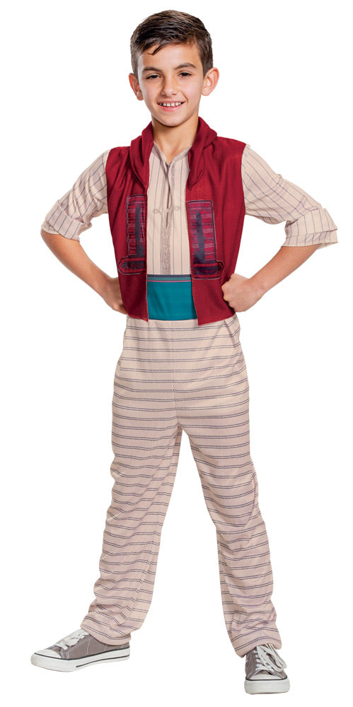 Aladdin Classic Costume