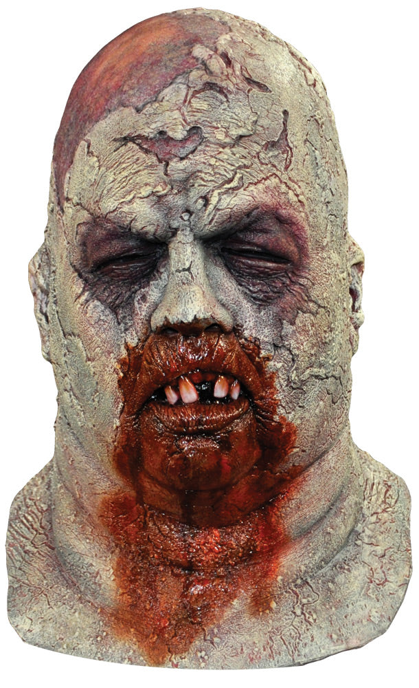 Boat Zombie Mask - image 1