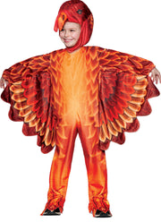 Toddler Turkey Delight Costume - TODDLER 4T - image 1