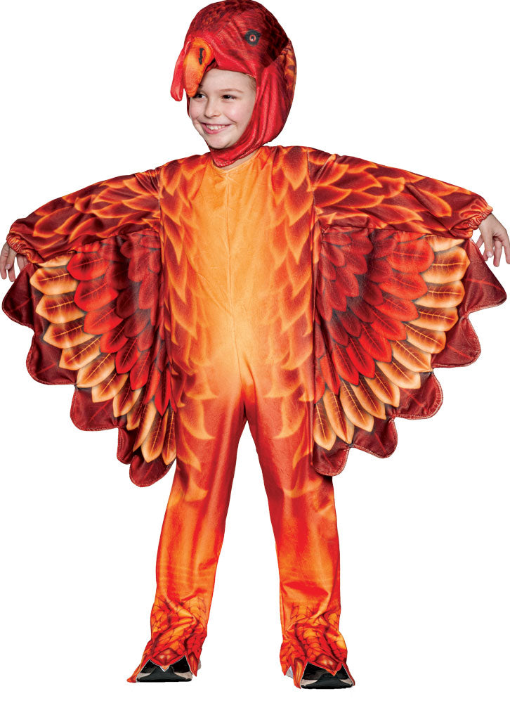 Toddler Turkey Delight Costume - TODDLER 4T - image 1