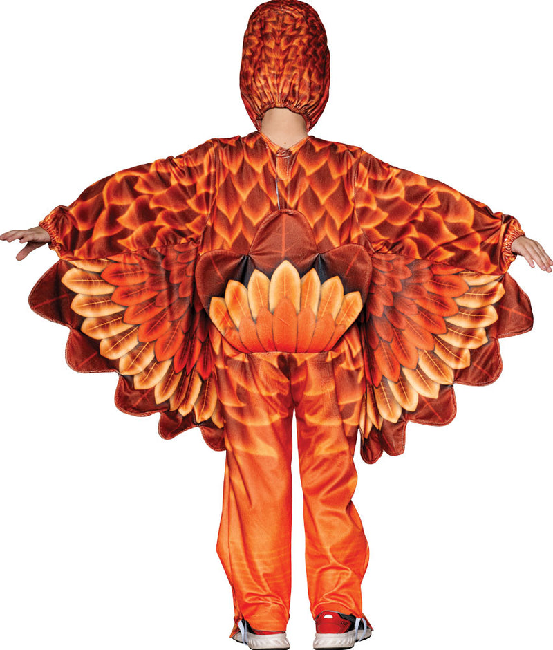 Toddler Turkey Delight Costume - TODDLER 4T - image 2