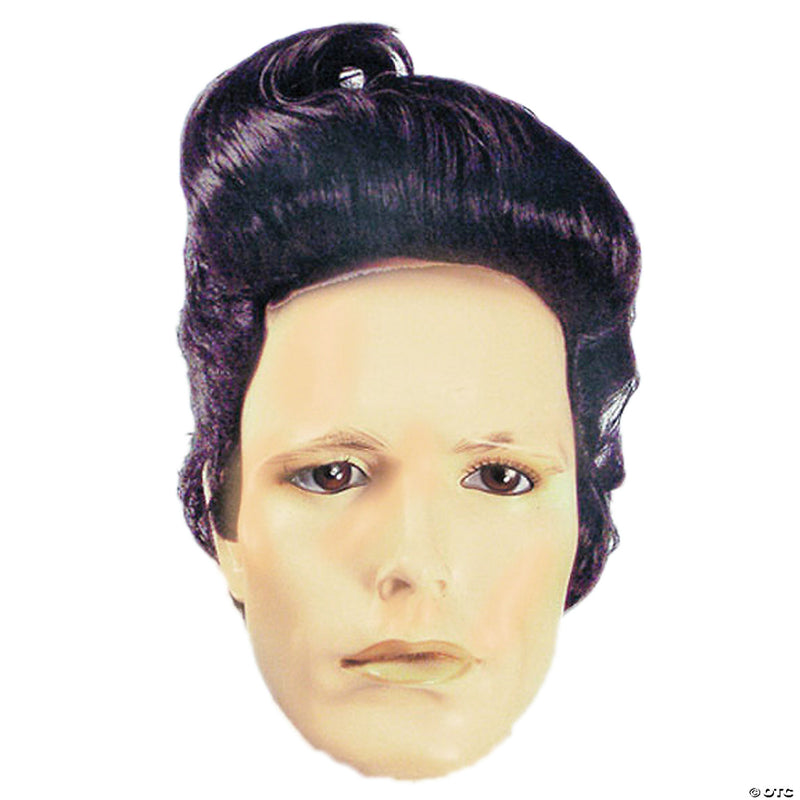 Sleek Pompadour Wig - image 1