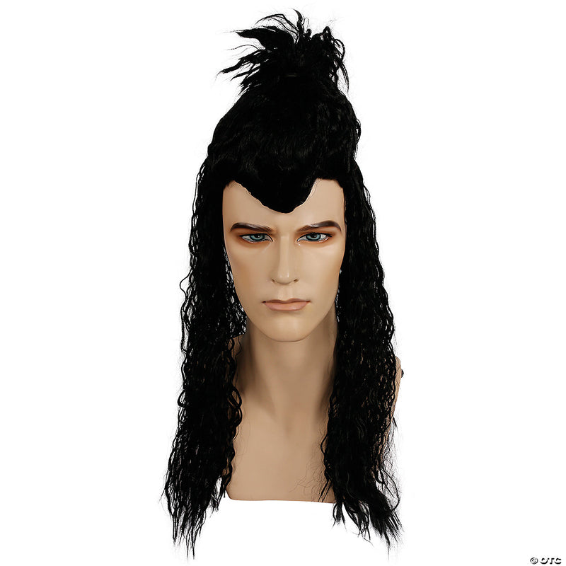 Adult Kizz Wig - image 1