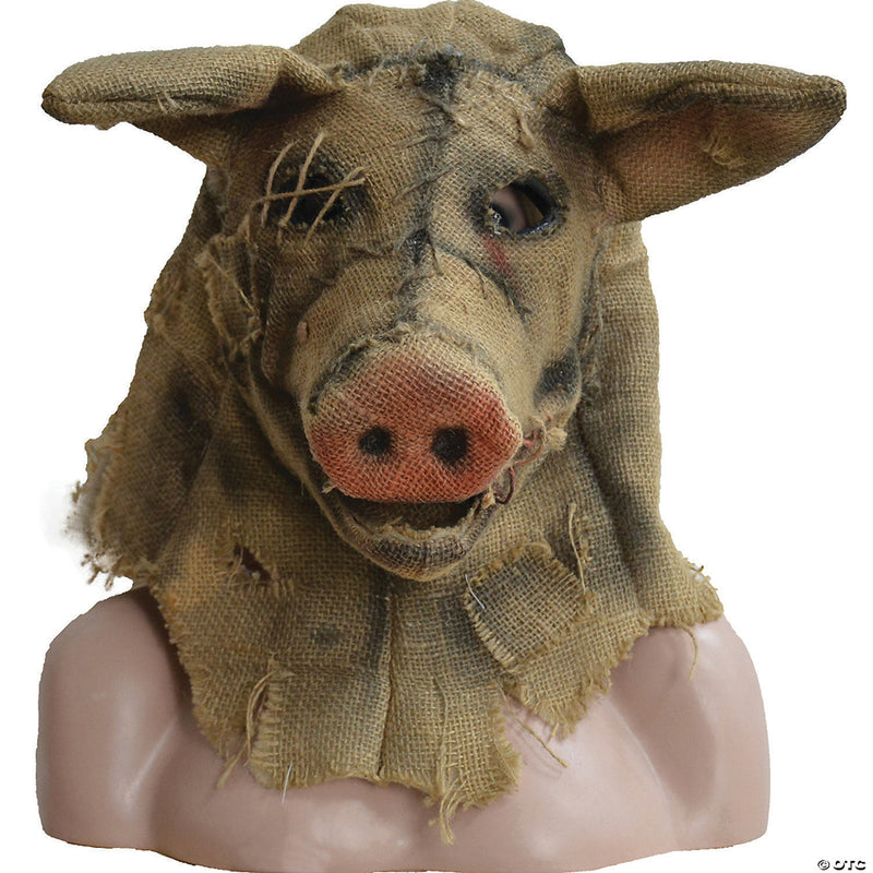 Scarecrow Pig Mask - image 1