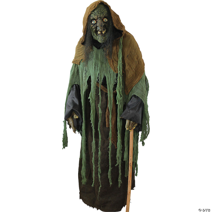 Adult Witch Ghoul Costume