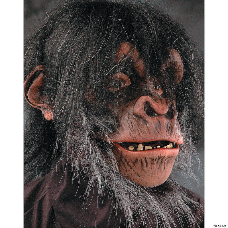 Realistic Adult Chimp Mask - image 1