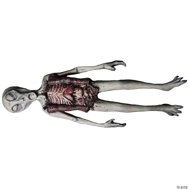 Alien Autopsy Prop - image 1