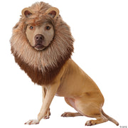 Animal Planet Lion Dog Costume - LARGE - image 2