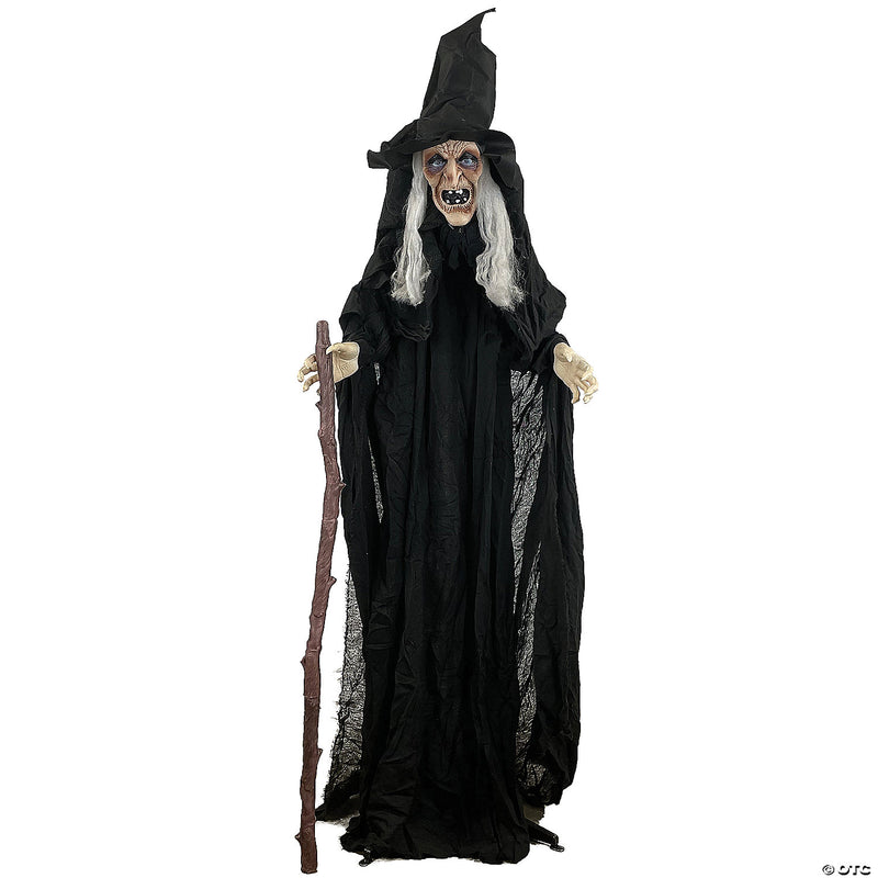 Animated Witch with Cane Prop - image 1