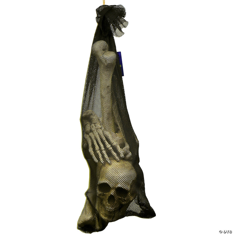 Bag Of Bones Decoration - image 1