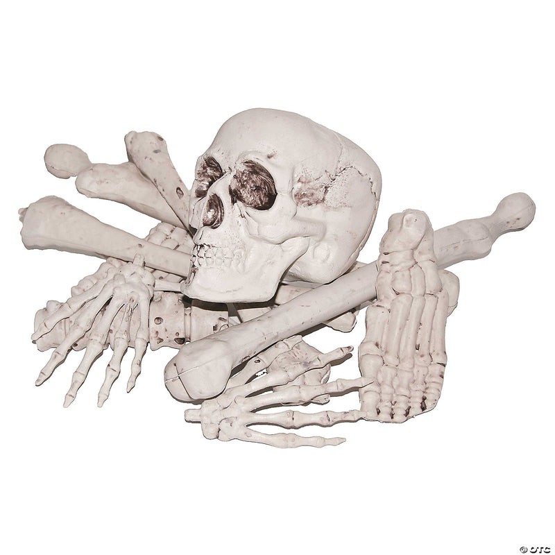 Bag Of Bones - image 1