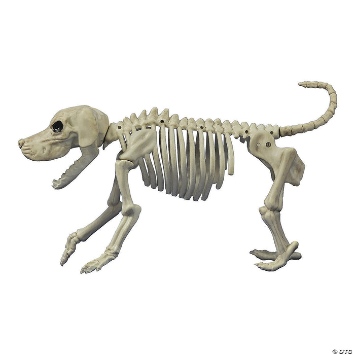 Beagle Bonez Dog Skeleton Halloween | Costume-Shop.com