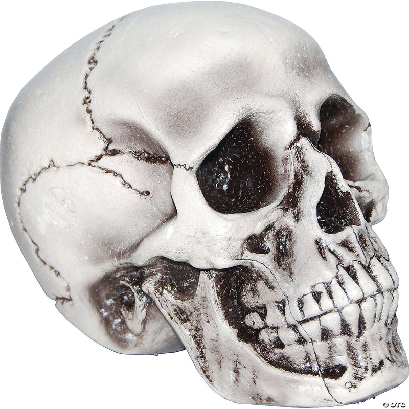 Beige Skull - image 1