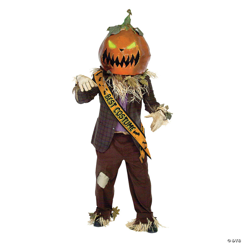 Best Costume Satin Sash - image 1