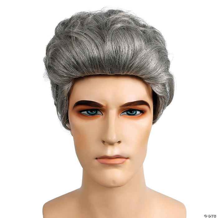 Dark Brown Grey Wig