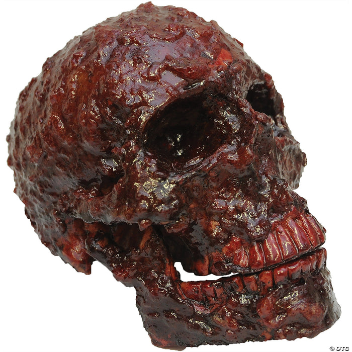 Bloody Scabs Skull Prop