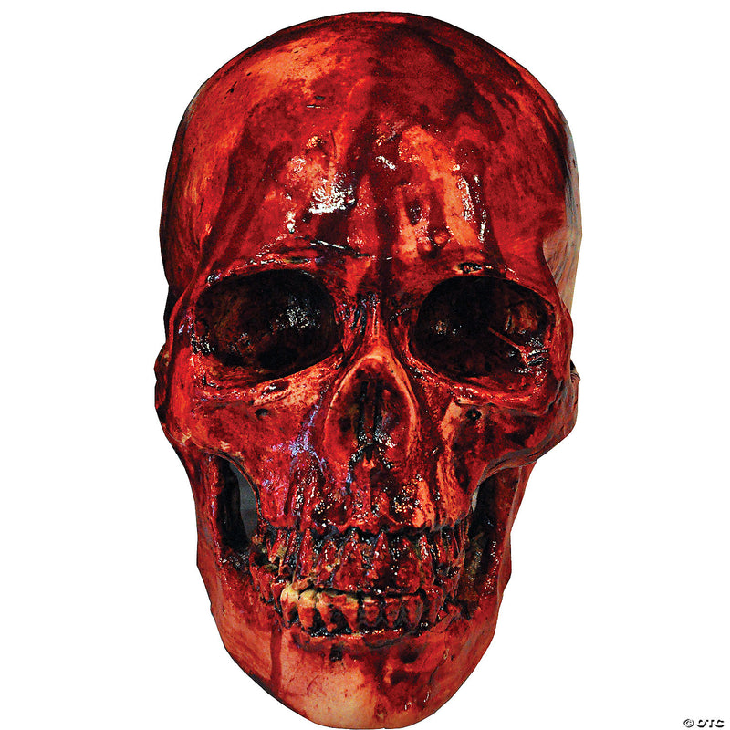 Bloody Skull - image 1