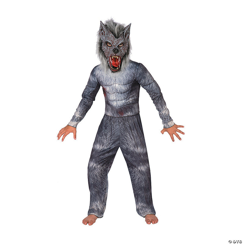 Boy's Werewolf Costume - MEDIUM - image 2