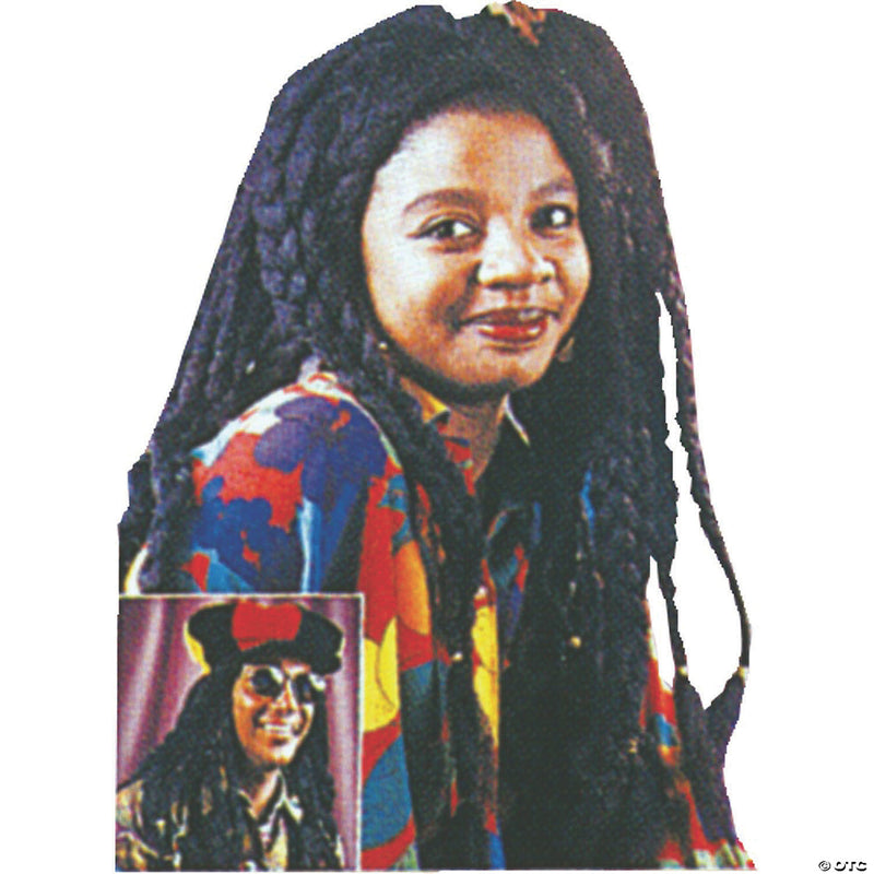 Braided Black Wig - image 1