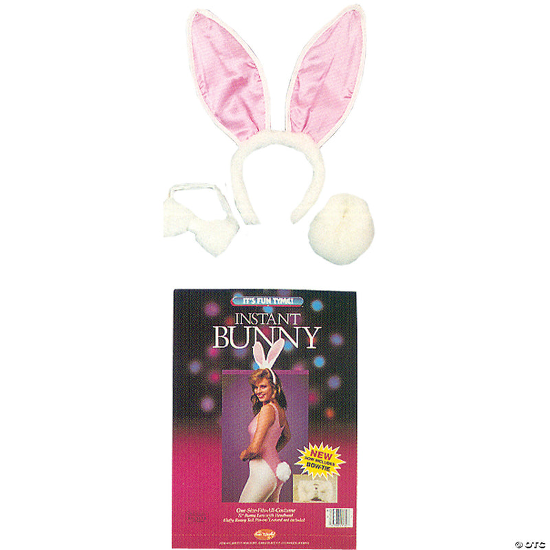 Hop Into Fun! Bunny Costume Kit | Costume-Shop.com - image 1