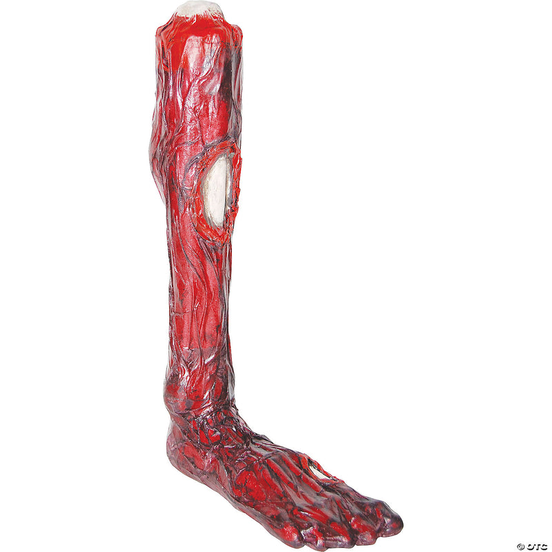 Burnt Leg - image 1