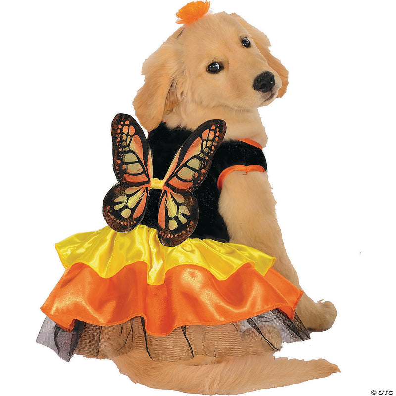Butterfly Dog Halloween Costume - LARGE - image 2