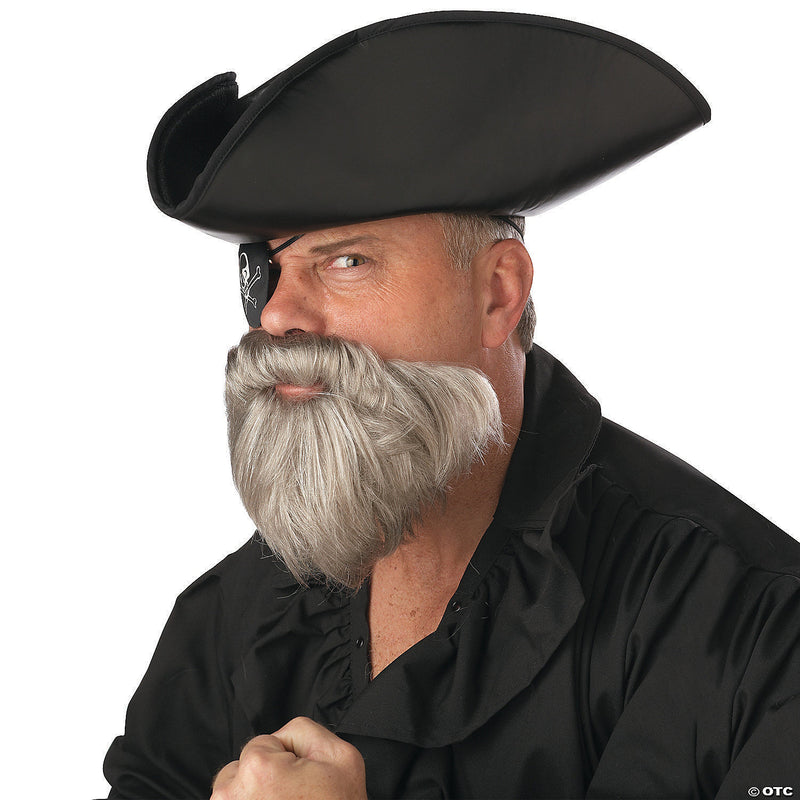 Captain's Grey Beard & Mustache - image 1