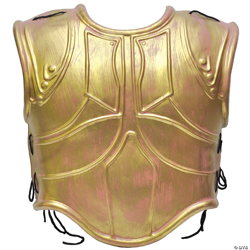 Chest Armor - image 1