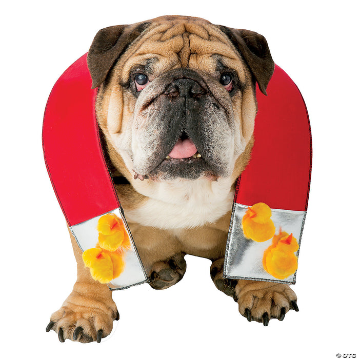 Chick Magnet Dog Costume - Your Pooch's Charismatic Charm Unleashed! 🐥🧲