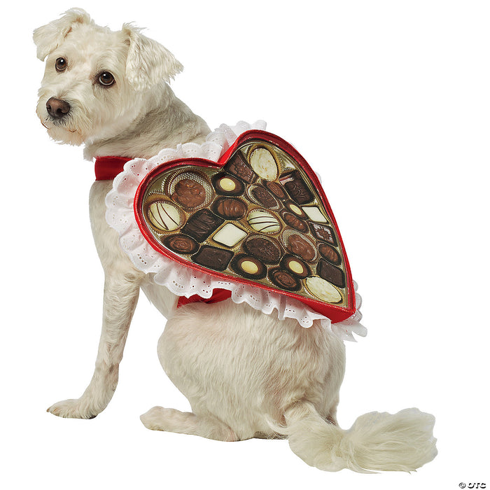 Chocolate Box Dog Costume