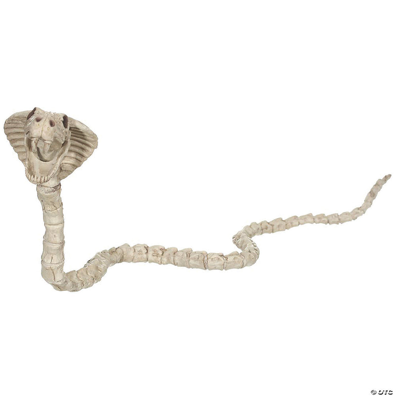 Cobra Skeleton Halloween Decoration | Costume-Shop.com - image 1
